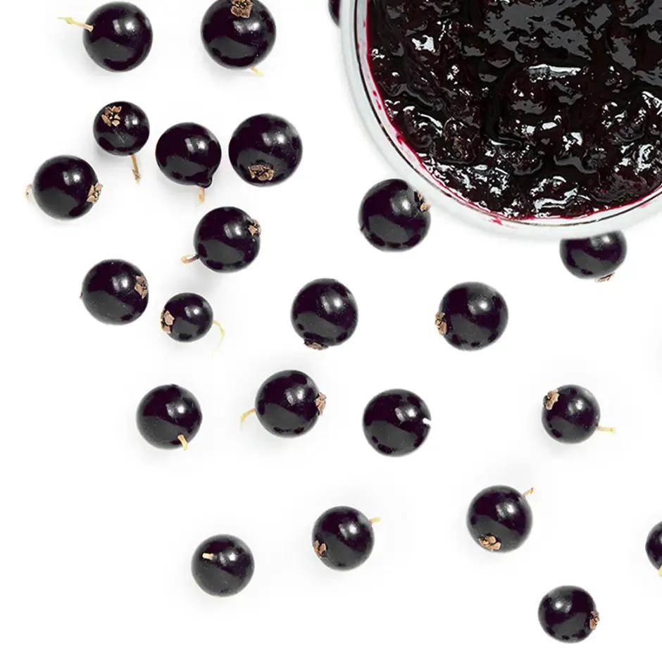 black currant