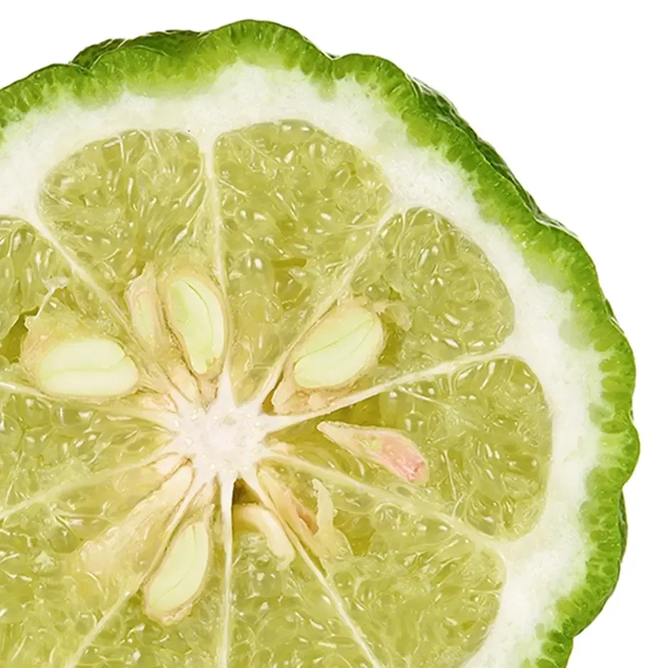bergamot