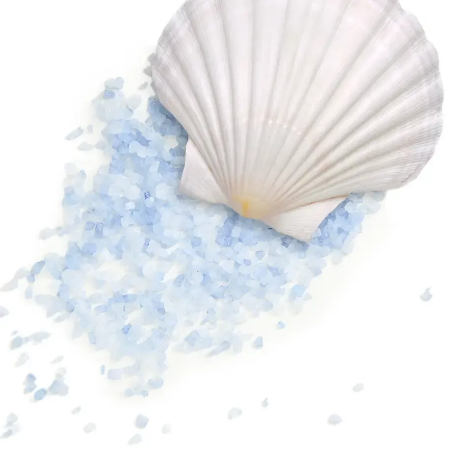 морские ноты