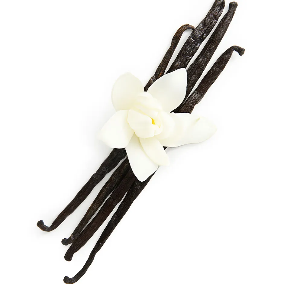 Vanilla